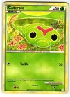 Caterpie