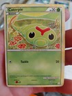 Caterpie