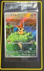 Victini V