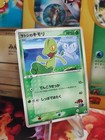Treecko 