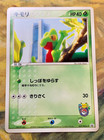 Treecko 