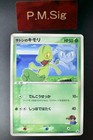 Treecko 