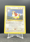 Pidgey