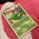Bellossom