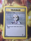 Professor Oak