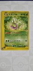Meganium
