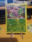 Dustox