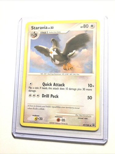 Staravia
