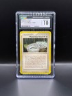 Mysterious Fossil