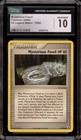 Mysterious Fossil