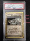 Mysterious Fossil