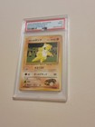 Brock's Sandshrew