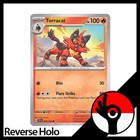 Torracat