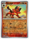 Torracat
