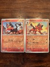 Torracat