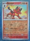 Torracat