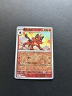 Torracat