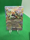 Cyclizar ex