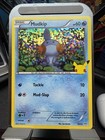 Mudkip