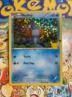 Mudkip