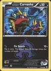 Team Aqua's Carvanha