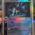 Sharpedo