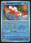 Goldeen