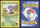 Giovanni's Nidoran