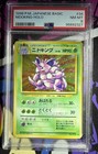 Nidoking