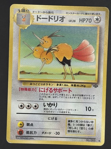 Dodrio