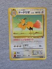 Dodrio
