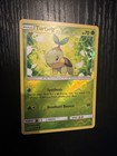 Turtwig
