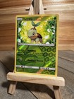 Turtwig