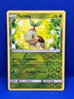 Turtwig