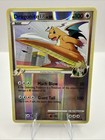Dragonite FB