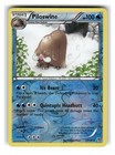 Piloswine