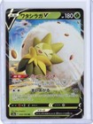 Eldegoss V