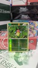Ledyba