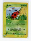 Ledyba