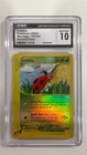 Ledyba