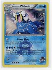 Team Aqua's Walrein