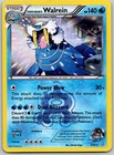 Team Aqua's Walrein