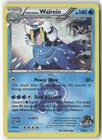 Team Aqua's Walrein