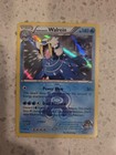 Team Aqua's Walrein
