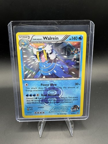 Team Aqua's Walrein