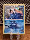 Team Aqua's Walrein