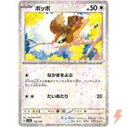 Pidgey