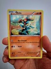 Riolu