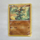 Riolu