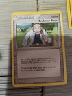 Professor Birch